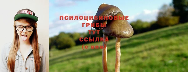 амф Баксан