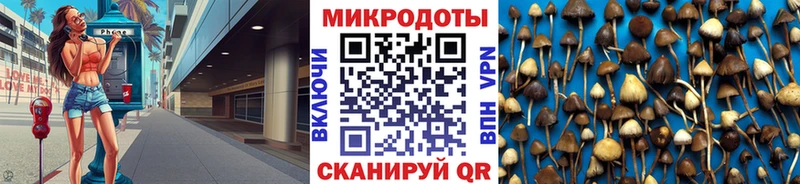Псилоцибиновые грибы ЛСД  Тара 
