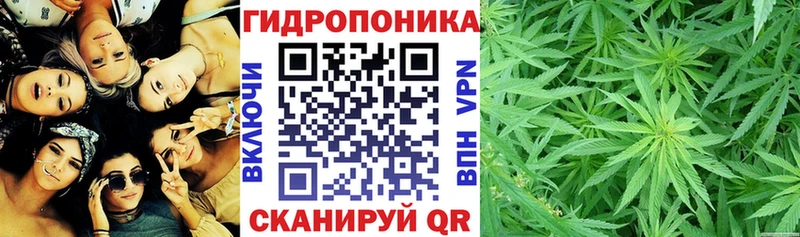 МАРИХУАНА сатива  Тара 